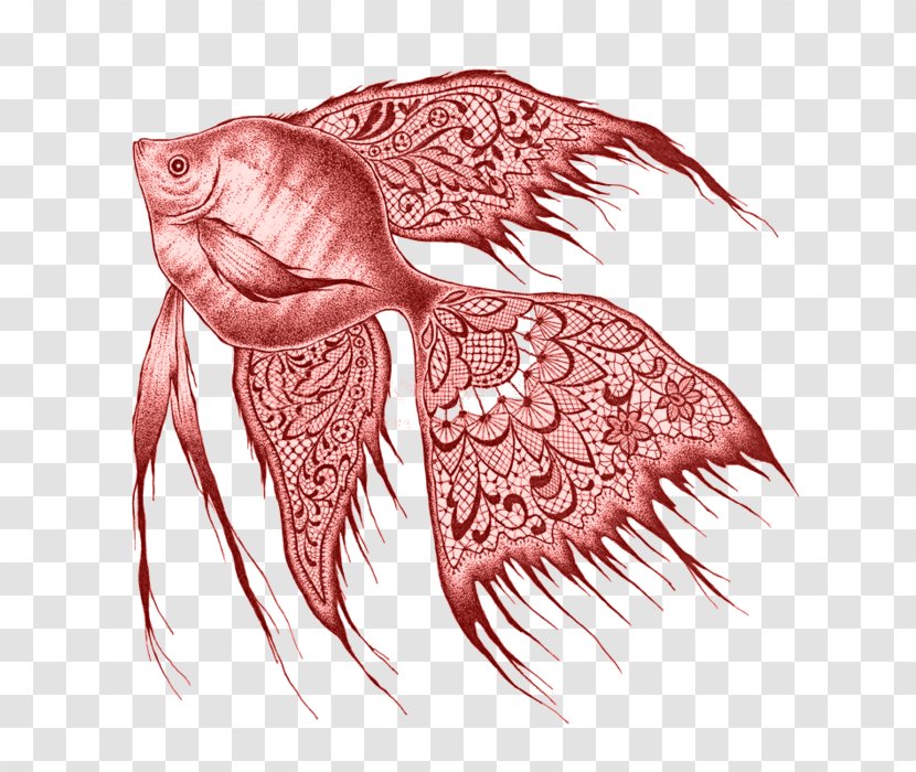 Drawing Freshwater Angelfish Pencil - Heart - Fish Transparent PNG