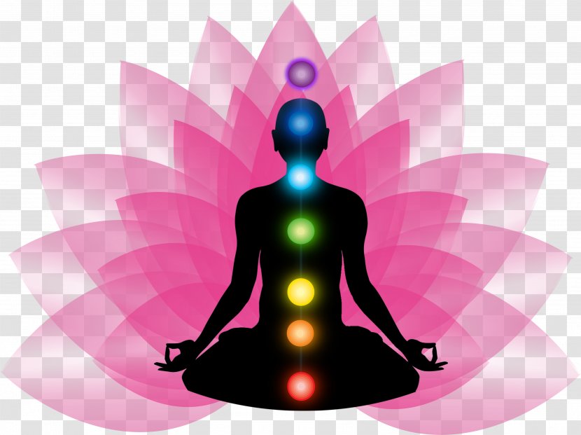The Seven Spiritual Laws Of Success 48 Power Book Meditation Homo Sapiens - Video Transparent PNG