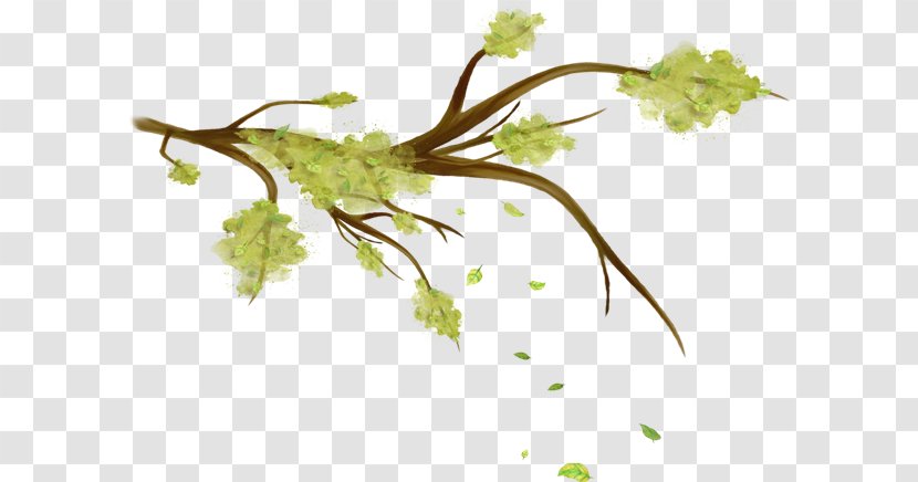 Twig Leaf Branch Clip Art - Yellow Transparent PNG