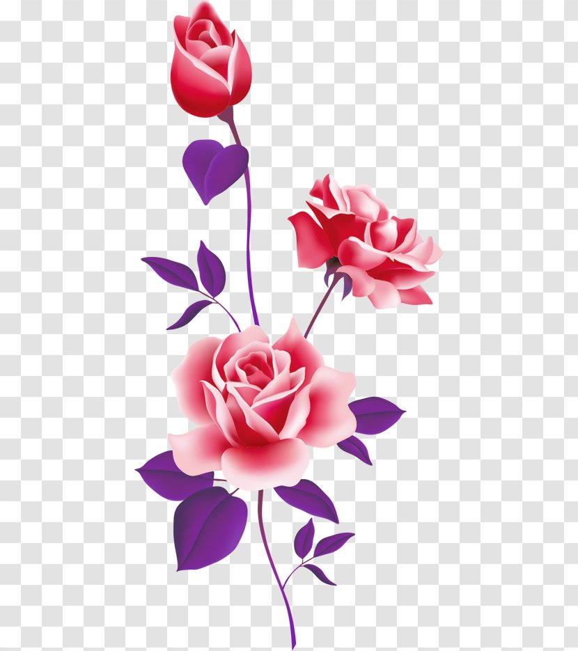 Rose Pink Free Content Clip Art - Flowering Plant - Vector Floral Flowers Transparent PNG