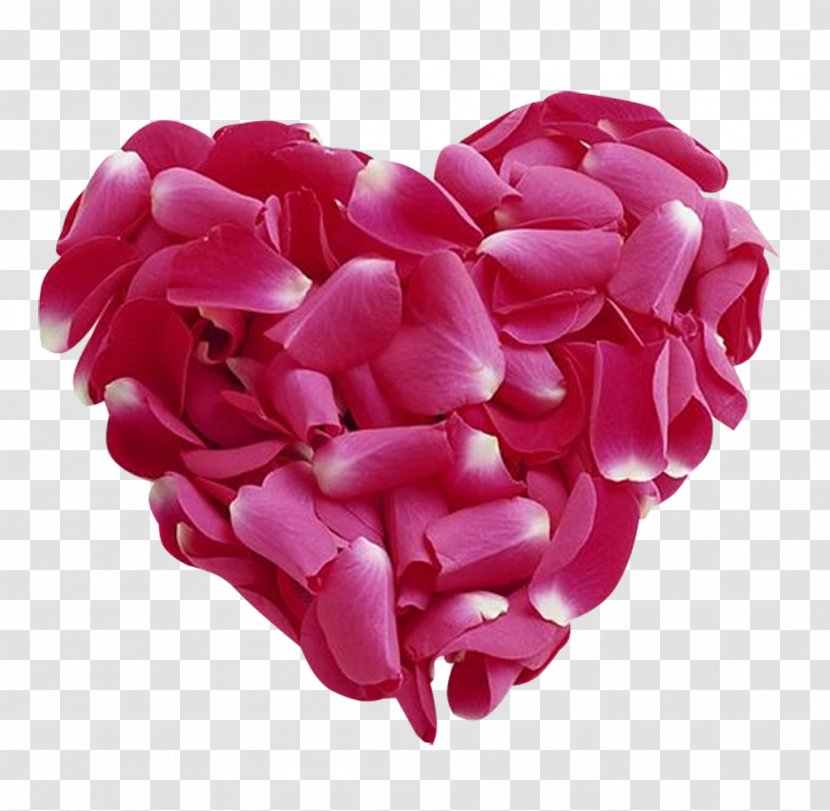 Father's Day Valentine's Desktop Wallpaper Wish - Petal - Heart Transparent PNG