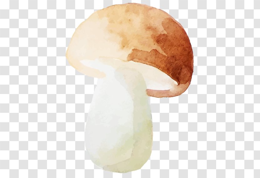 Watercolor: Flowers Watercolor Painting - Mushroom - Mushrooms Transparent PNG