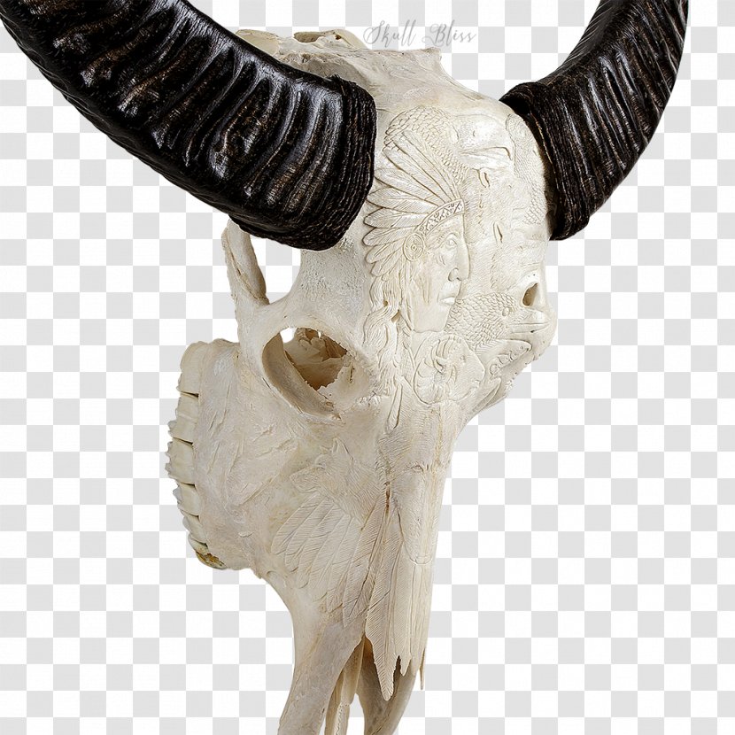 Animal Skulls Cattle Horn Skeleton - Antler - Skull Transparent PNG