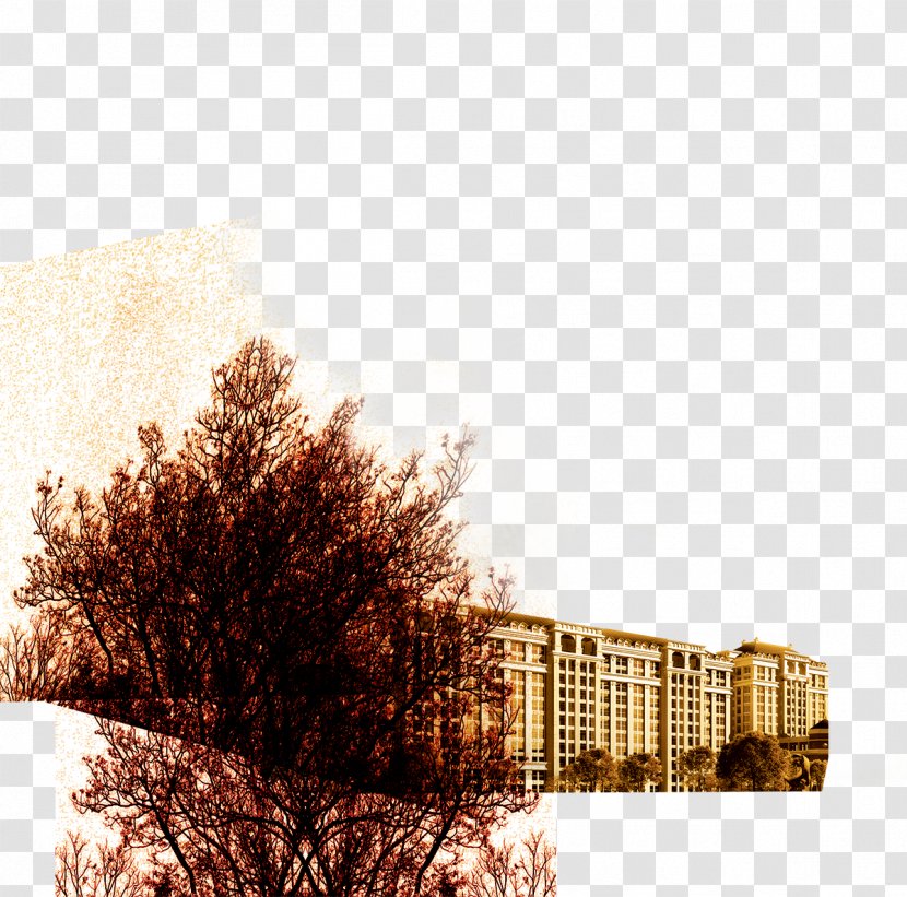 Apartment Gratis Icon - Tree - Modern Luxury Building Transparent PNG