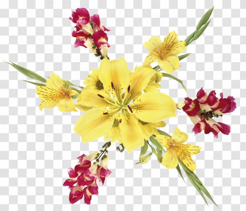 Tienda De Ropa Moncherry Drawing - Floral Design - Flower Transparent PNG