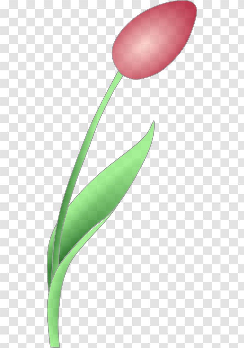 Tulip Clip Art - Petal - Image Of Transparent PNG