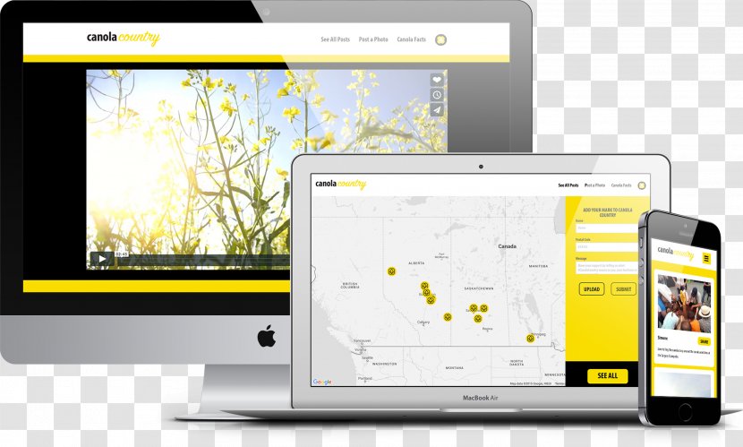 Dingo Marketing Team Web Design Development - Multimedia Transparent PNG