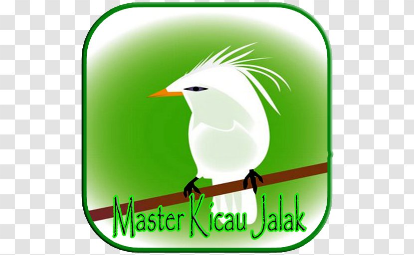 Clip Art Beak Logo Brand Android - Grass - Jalak Umum Transparent PNG