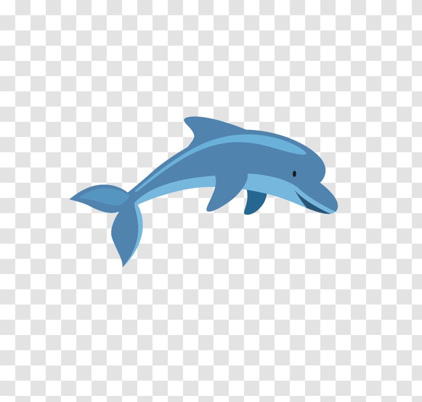 Common Bottlenose Dolphin Tucuxi - Whales Dolphins And Porpoises - Cute Transparent PNG