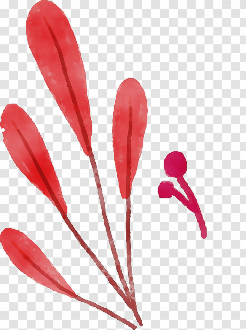 Floral Design Transparent PNG