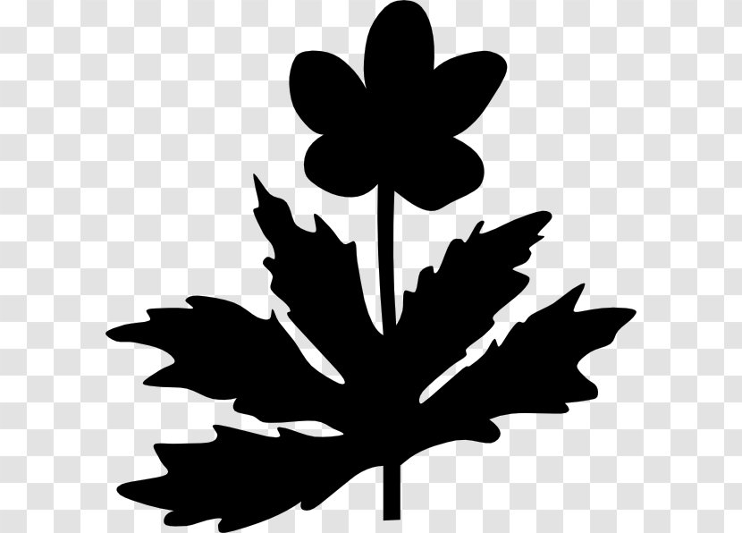 Maple Leaf Clip Art Silhouette Flower - Flowering Plant Transparent PNG