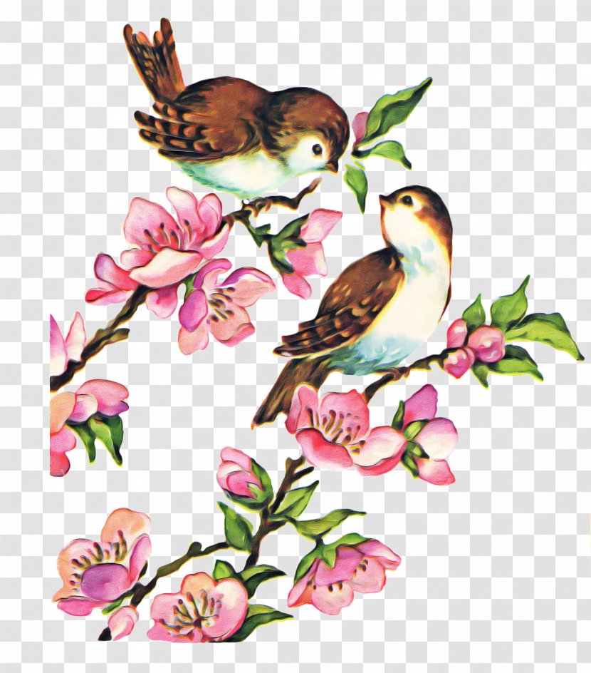 Lovebird - Magnolia - Twig Beak Transparent PNG