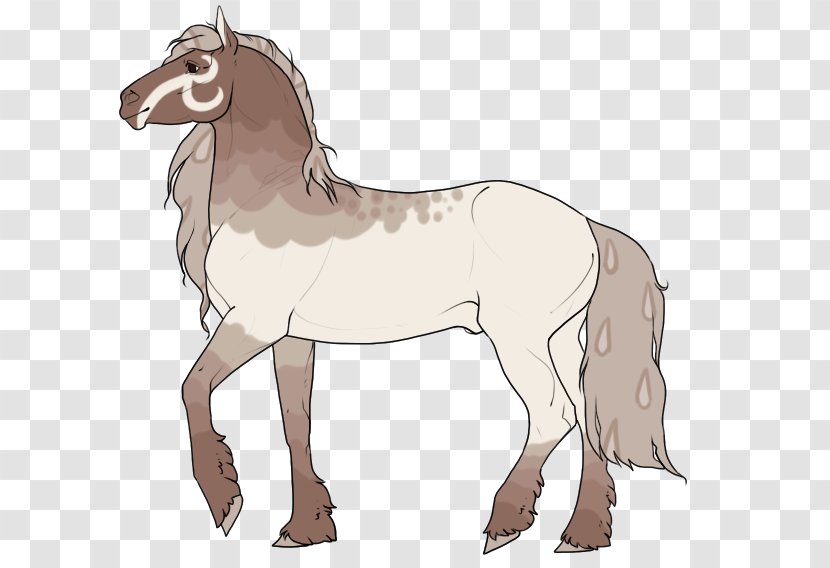 Mane Mule Foal Stallion Mare - Hair - Donkey Transparent PNG
