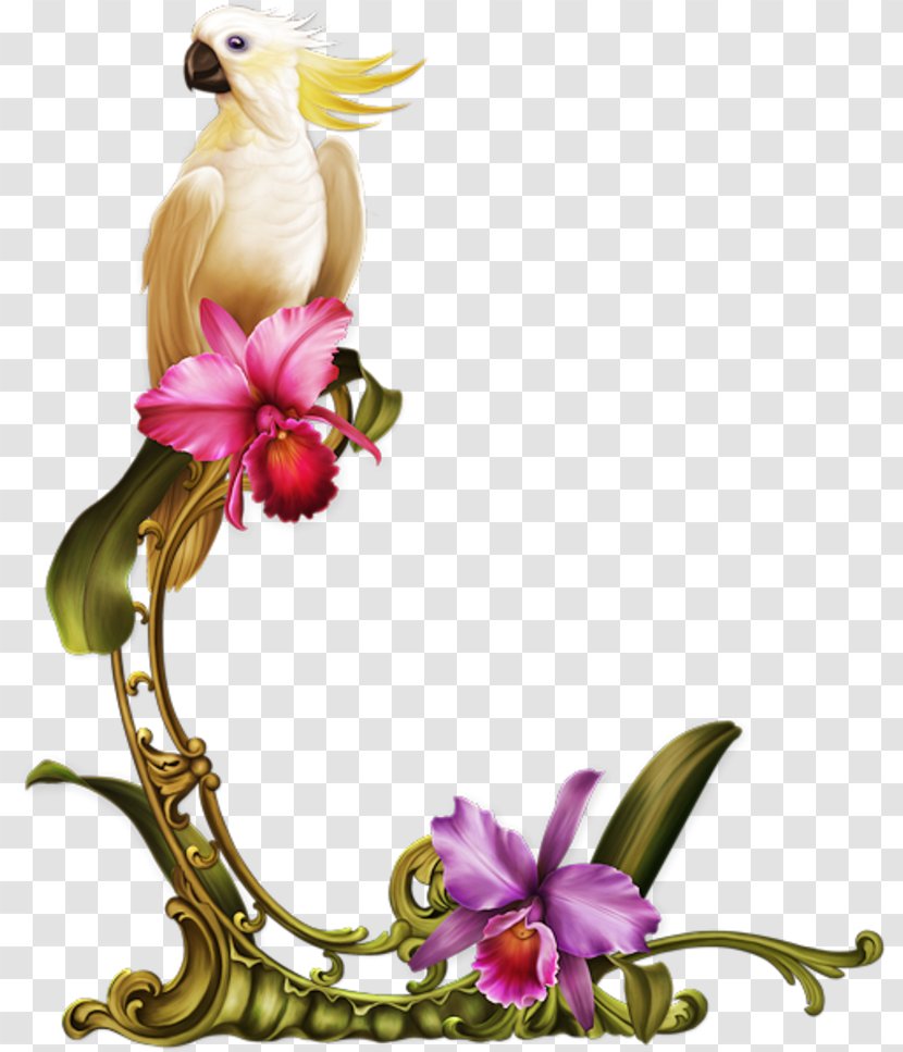 Floral Design Cut Flowers 1/4 Jesus Is Die Heer - Love - Birds Of Paradise Flower Transparent PNG