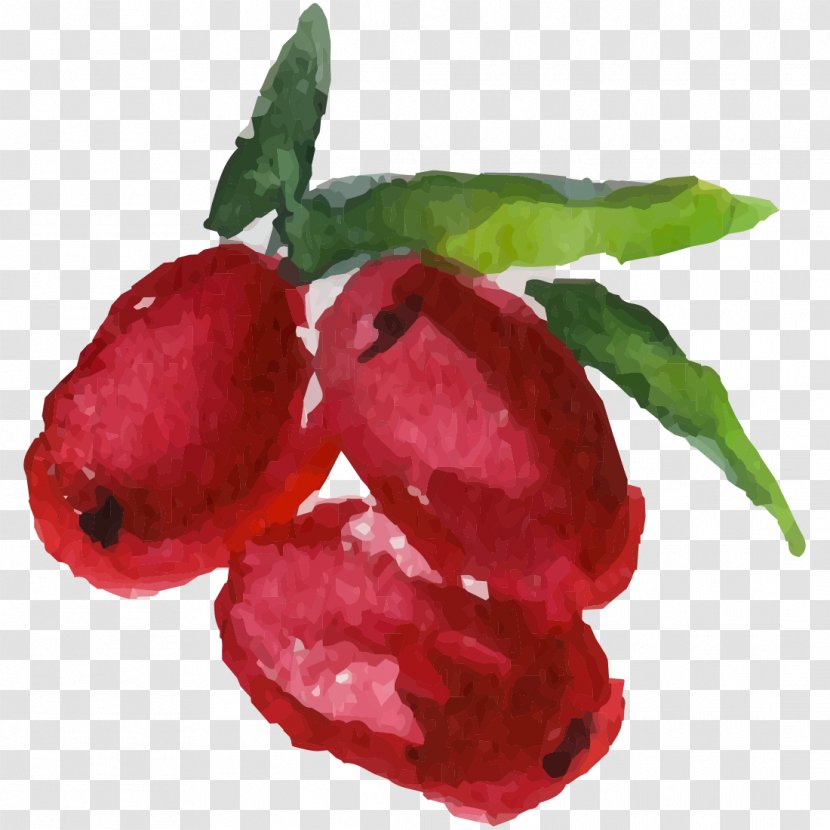 Fruit Watercolor Painting - Food Transparent PNG