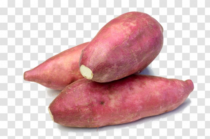 Sweet Potato Food Vegetable Tuber Transparent PNG