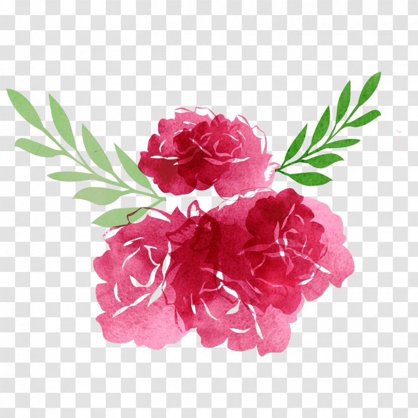Garden Roses Flower - Rose - Vector Drawings, Hand Drawn Watercolor, Floral Decorations Transparent PNG