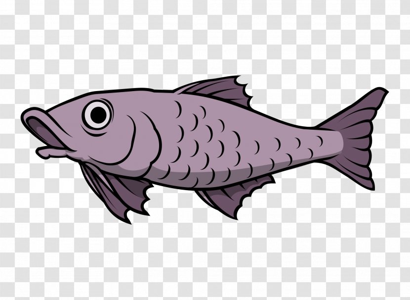 Catfish Fishing - Fish - Big Transparent PNG