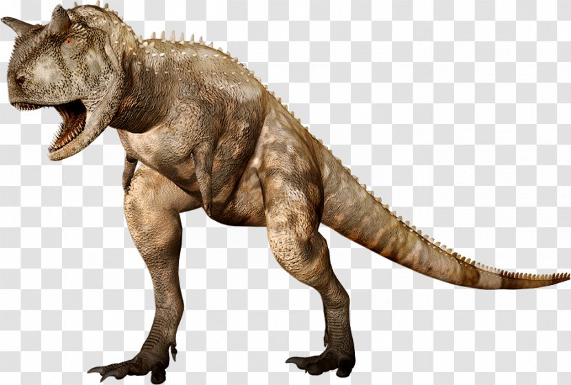 Carnotaurus Tyrannosaurus Ceratosaurus Abelisaurus Dinosaur - Dino Transparent PNG
