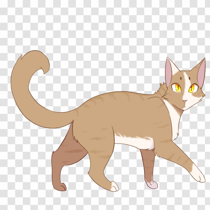 Whiskers Kitten Warriors Domestic Short-haired Cat - Fauna - My Talking Tom Transparent PNG