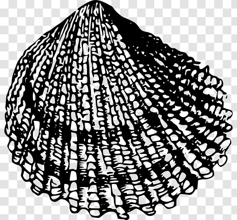 Seashell Bivalvia Clip Art - Black And White Transparent PNG