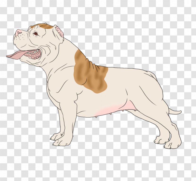 Toy Bulldog Dog Breed Puppy Illustration Transparent PNG