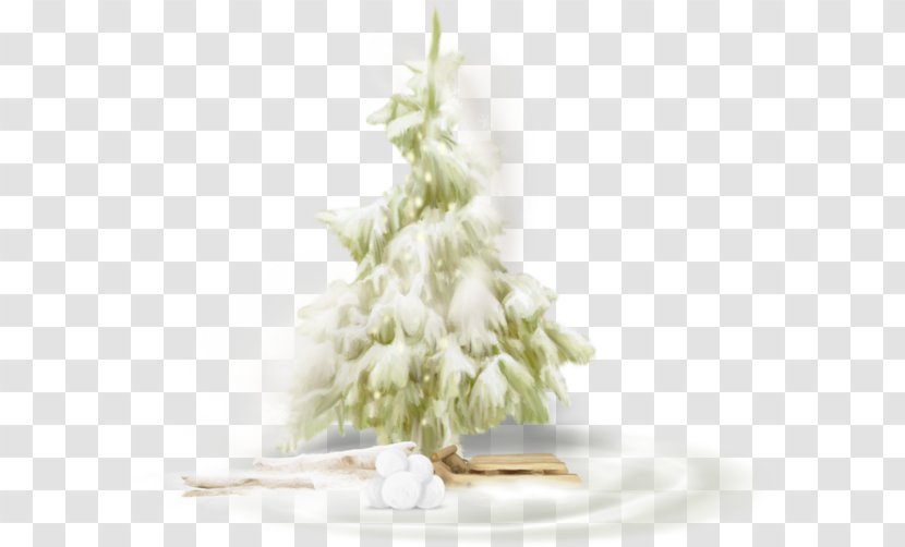 Christmas Tree Fir - Decoration Transparent PNG