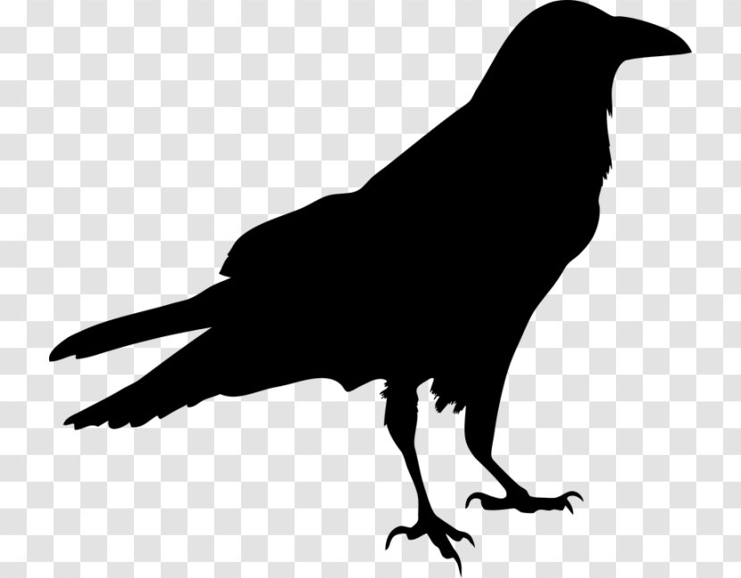 Blackbird Silhouette Clip Art - Crow Like Bird Transparent PNG