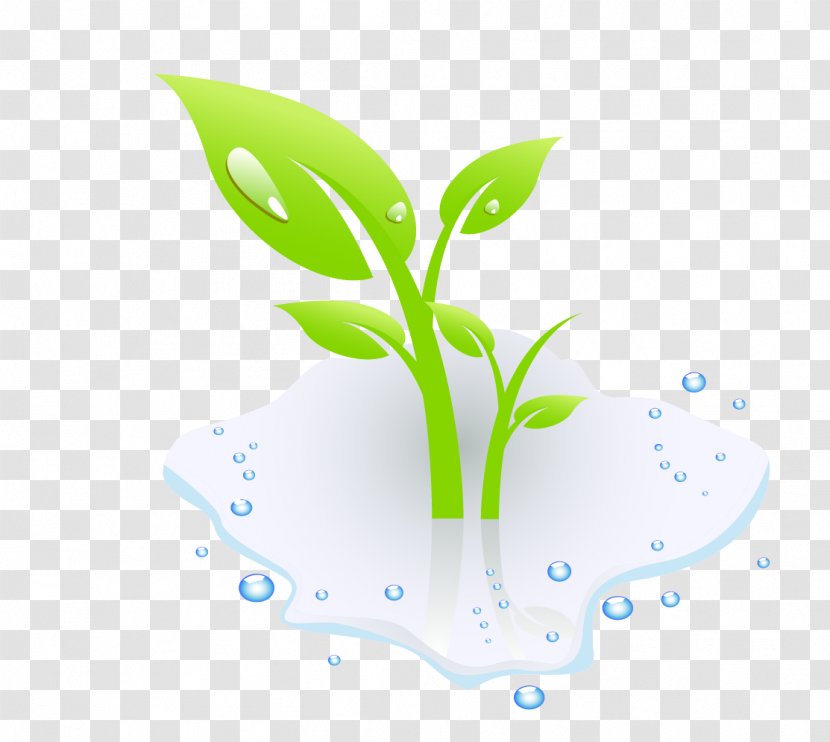 Aquatic Plant Euclidean Vector Clip Art - Watering Can - Green Flag Transparent PNG