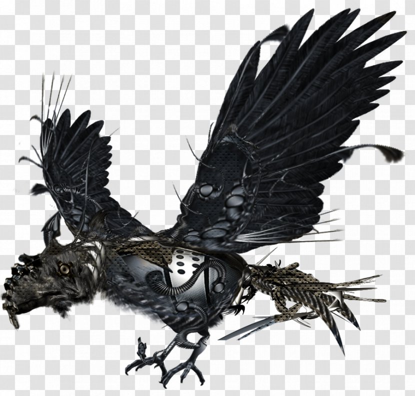 Eagle Cartoon - Bird Of Prey Transparent PNG