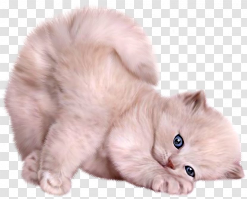 Photography Desktop Wallpaper Clip Art - Silhouette - Cats Transparent PNG