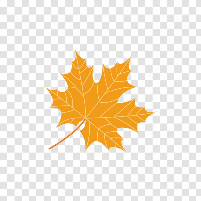 Maple Leaf Green - Yellow Five Angle Leaves Transparent PNG