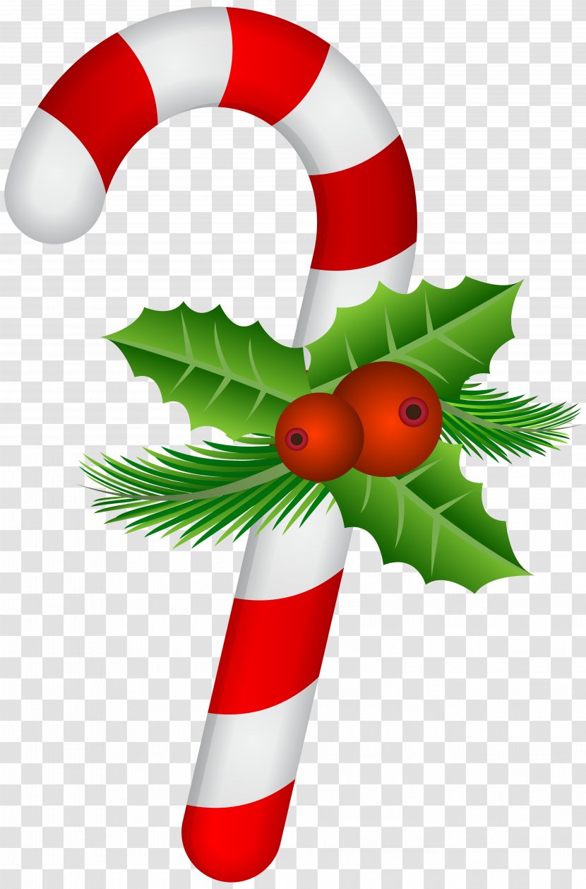 Candy Cane Christmas Clip Art - Ornament - With Holly Transparent Transparent PNG
