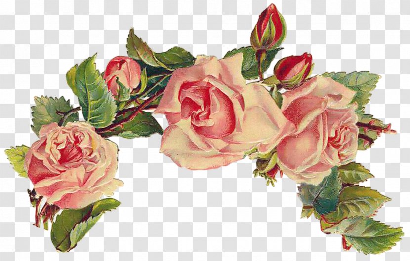 Rose Flower Paper Clip Art - Family Transparent PNG