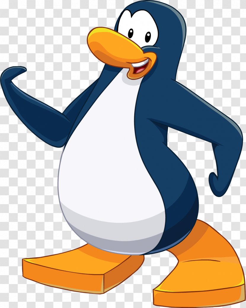 Penguin Goose Cygnini Clip Art Duck - Ducks Geese And Swans Transparent PNG