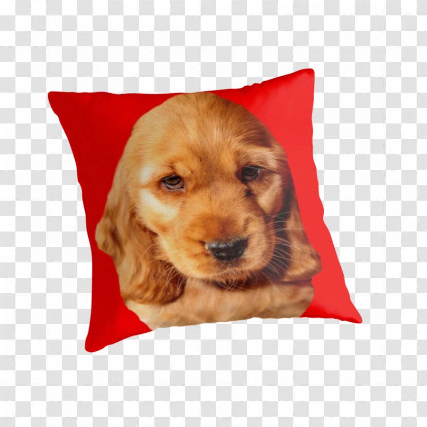 English Cocker Spaniel Sussex Puppy Dog Breed Companion - Throw Pillow Transparent PNG