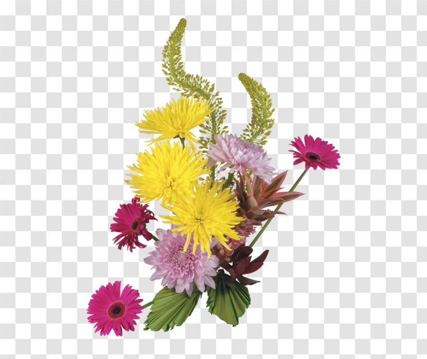 Flower Bouquet Floral Design - Daisy Family Transparent PNG