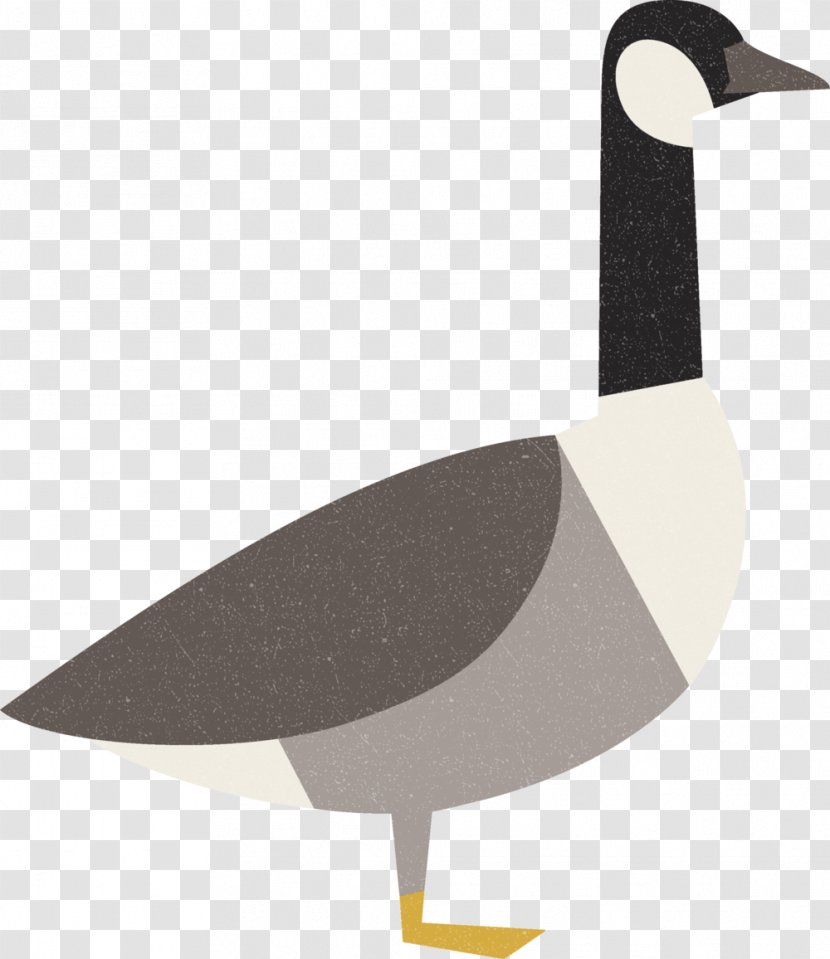 Goose Bird Duck Cygnini Anatidae - Ducks Geese And Swans Transparent PNG