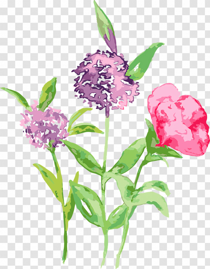 Floral Design Transparent PNG