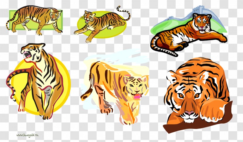 Tiger Lion Desktop Wallpaper Clip Art - Cartoon Transparent PNG