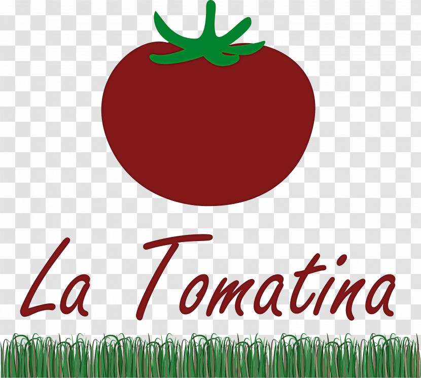 La Tomatina Tomato Throwing Festival Transparent PNG