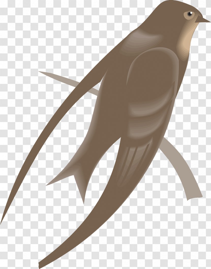 Bird Swallow Wing Letter Feather - Beak - Clipart Transparent PNG