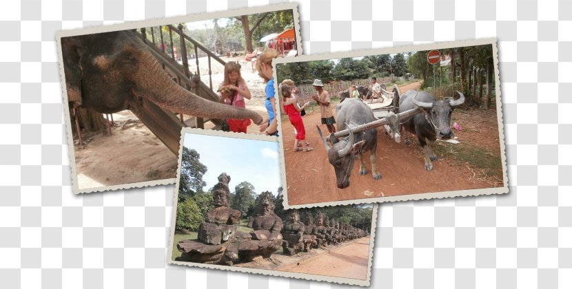 Recreation Elephant Mammoth - Elephants And Mammoths - Angkor Wat Transparent PNG