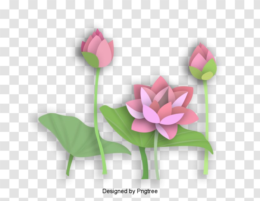 Flower Origami Floral Design Sacred Lotus Garland - Flowering Plant Transparent PNG