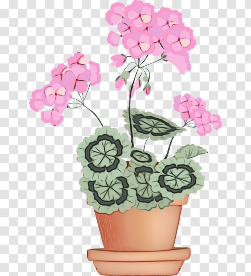 Floral Flower Background - Cut Flowers - Perennial Plant Impatiens Transparent PNG