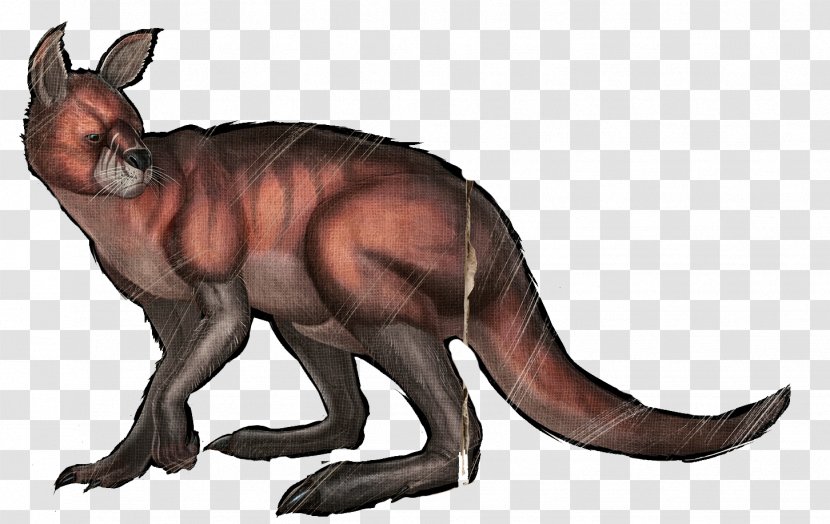 ARK: Survival Evolved Whiskers Kangaroo Procoptodon Dinosaur - Cat - Ark Of The Covenant Transparent PNG