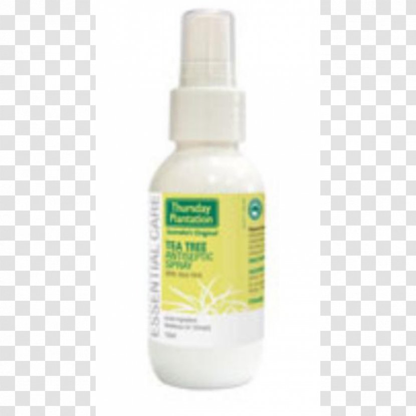 Aloe Vera Antiseptic Tea Tree Oil Mouthwash Narrow-leaved Paperbark - Povidoneiodine - Aloevera Transparent PNG