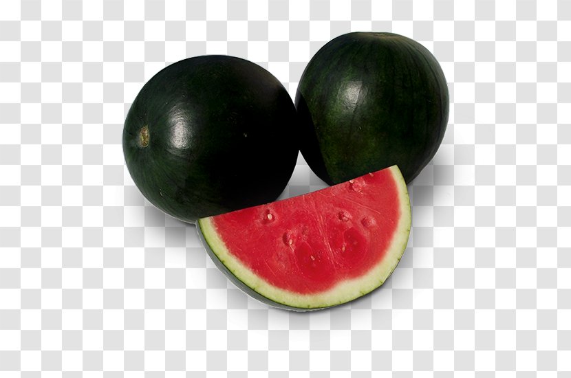 Watermelon Rootstock Muskmelon Seed - Capsicum Annuum Transparent PNG