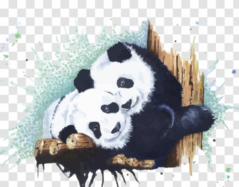 Giant Panda Watercolor Painting Euclidean Vector - Fur Transparent PNG