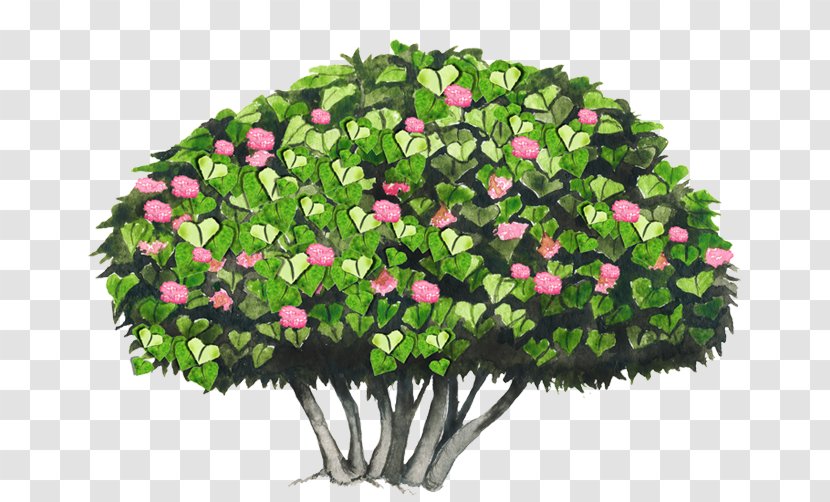 Cut Flowers Tree Shrub Dombeya Wallichii - Flowering Plant Transparent PNG